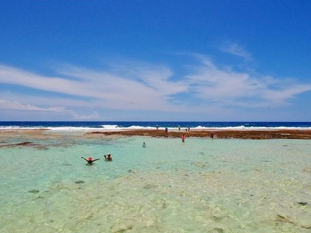 Otepipi &icirc;le aux R&eacute;cifs