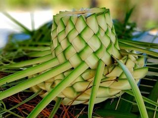 D&eacute;jeuner et apr&egrave;s-midi